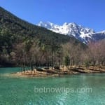 Avatar de Carolina Sandoval